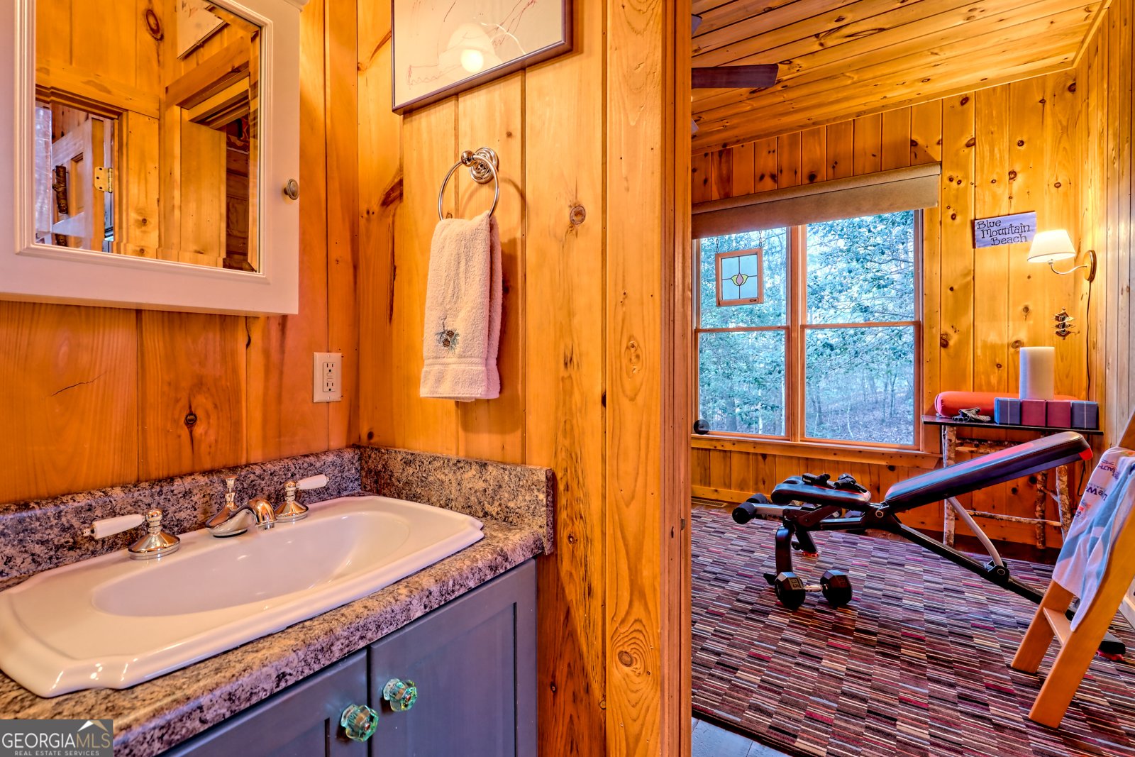 341 Brookwood Lane Clarkesville - 40