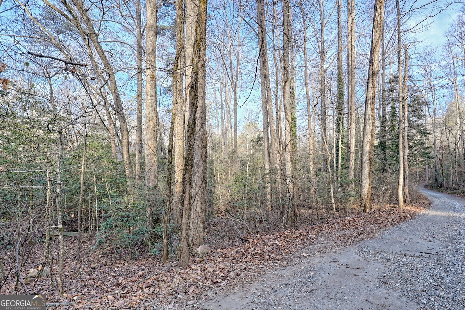 341 Brookwood Lane Clarkesville - 62