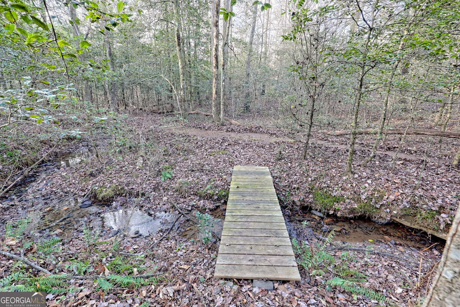 341 Brookwood Lane Clarkesville - 64