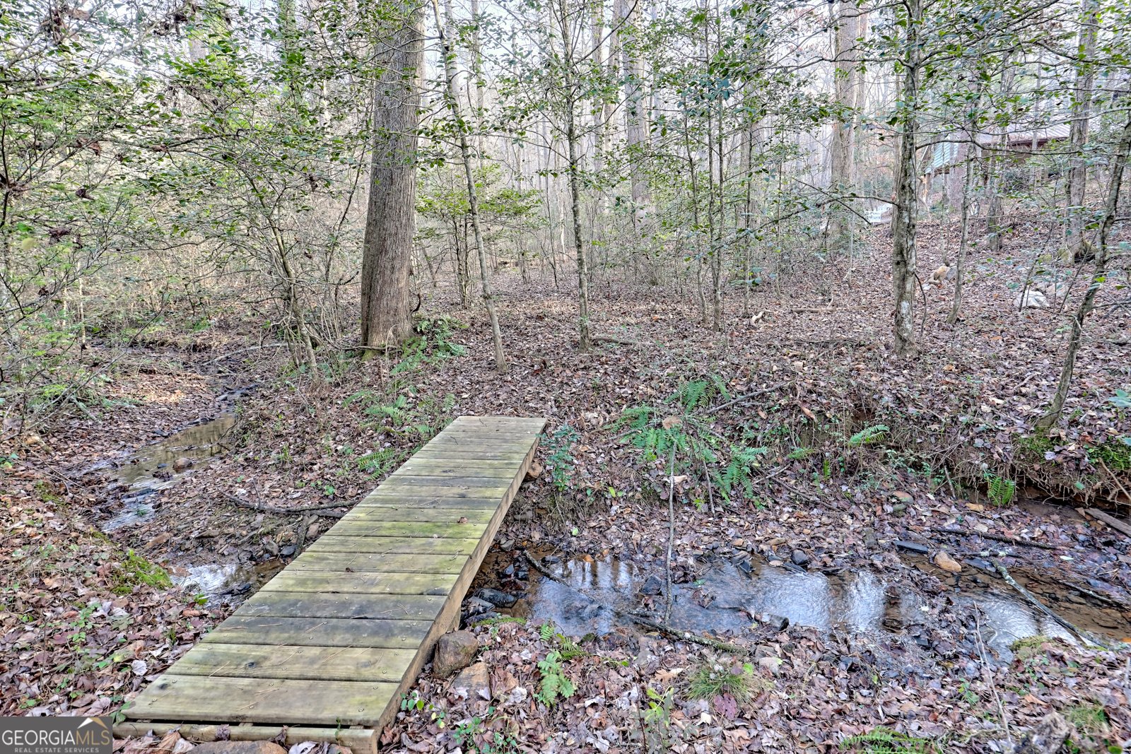 341 Brookwood Lane Clarkesville - 66