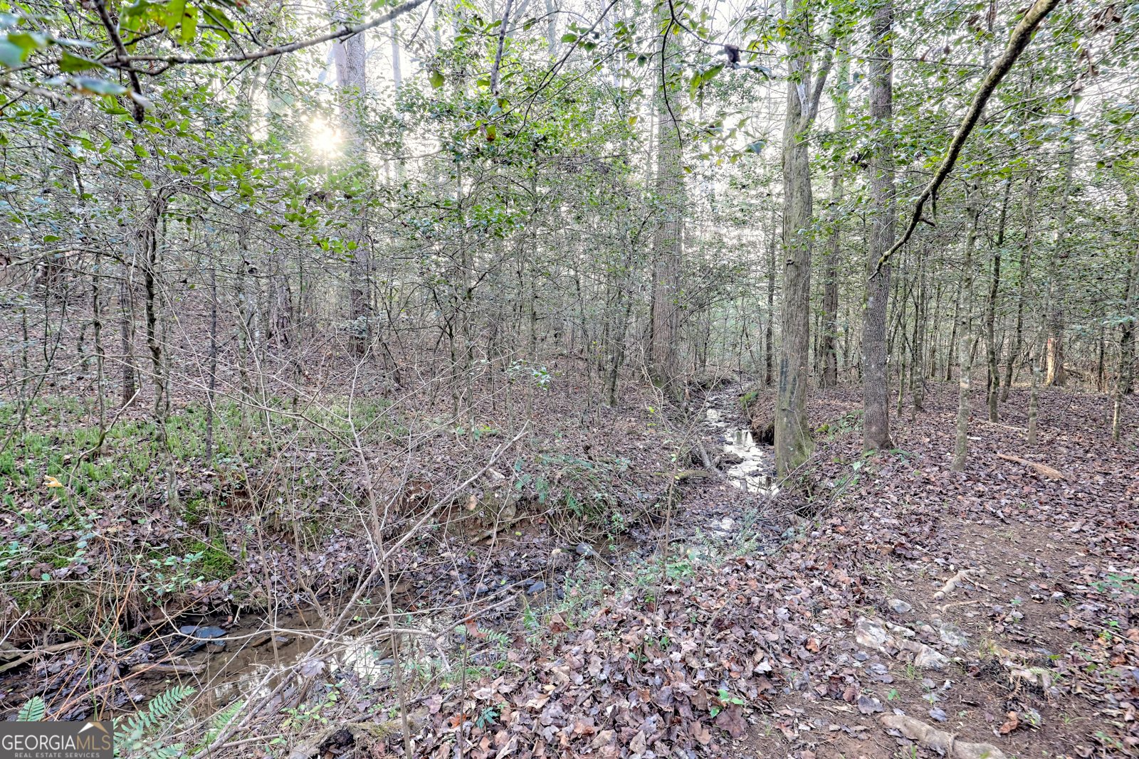 341 Brookwood Lane Clarkesville - 68