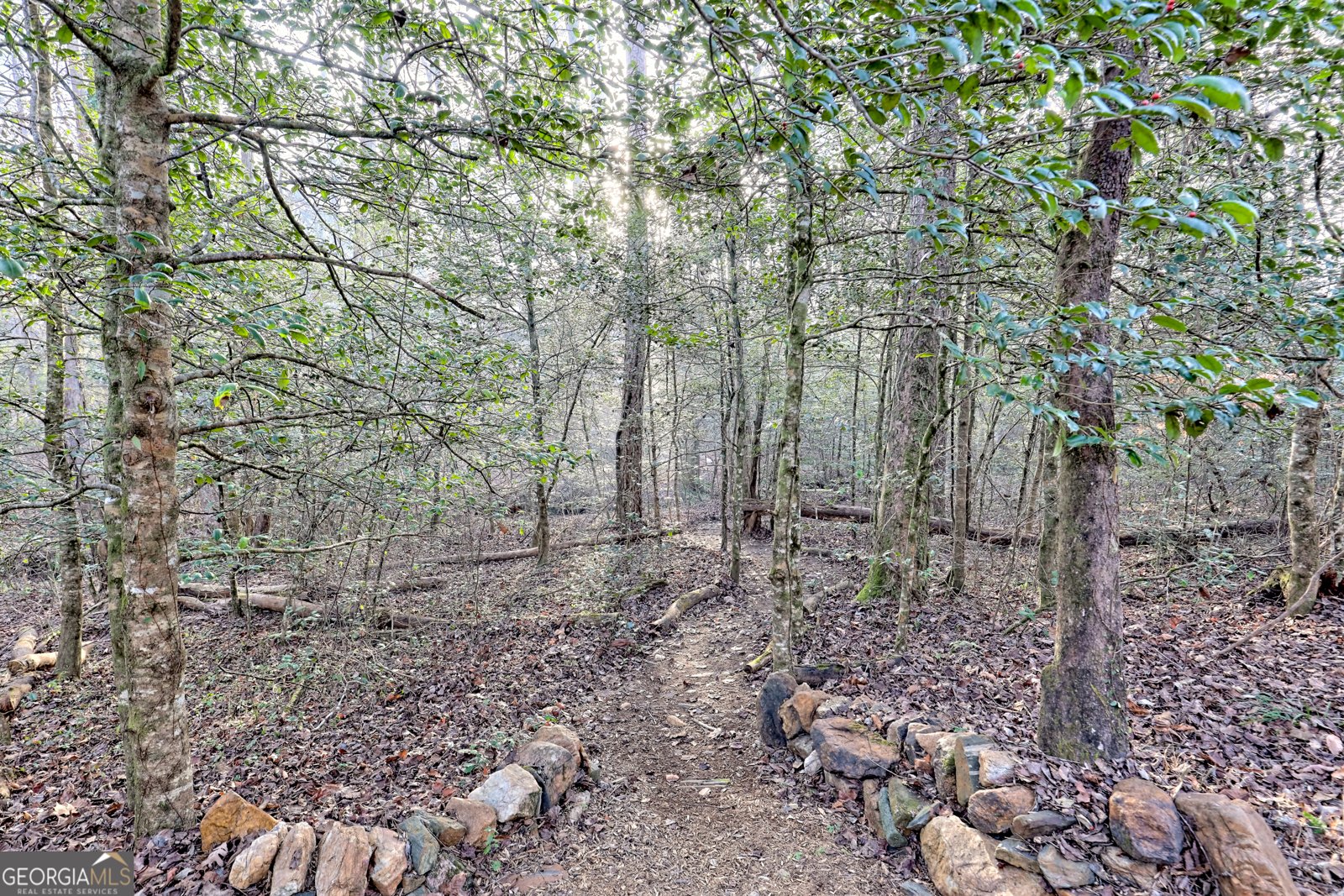 341 Brookwood Lane Clarkesville - 70