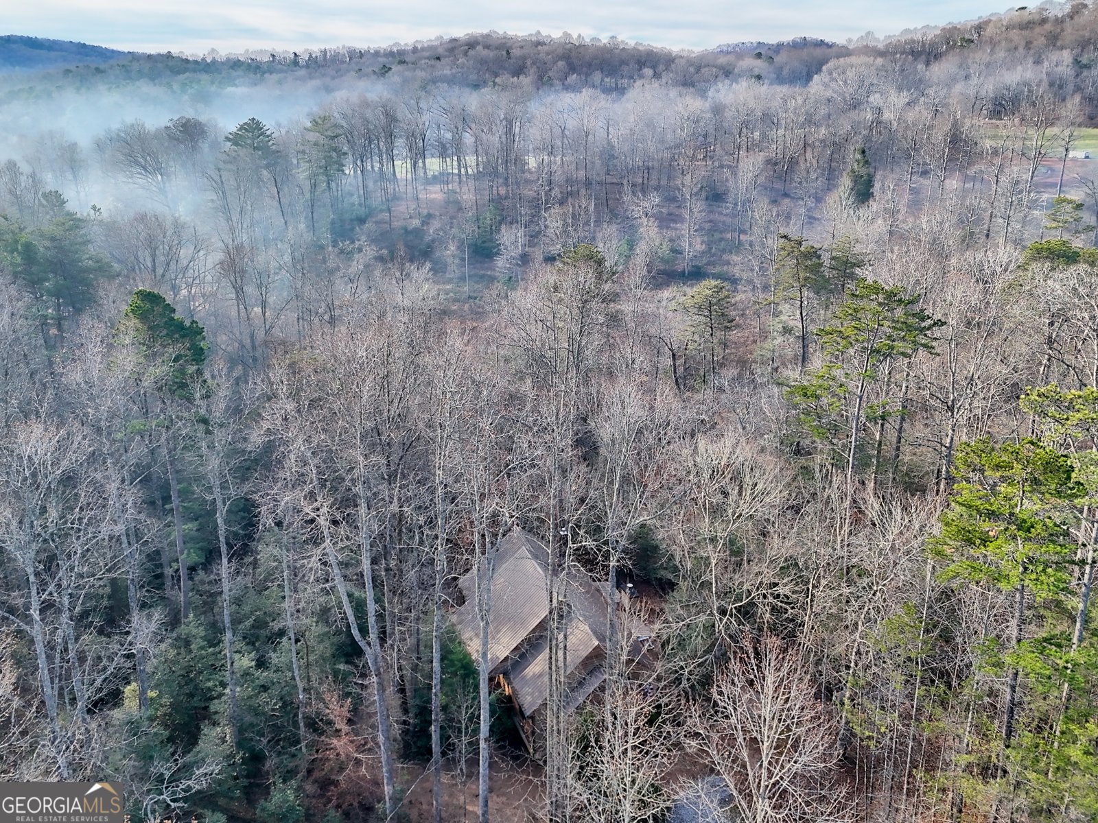 341 Brookwood Lane Clarkesville - 72