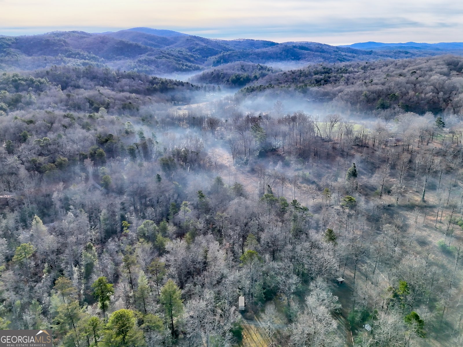 341 Brookwood Lane Clarkesville - 75