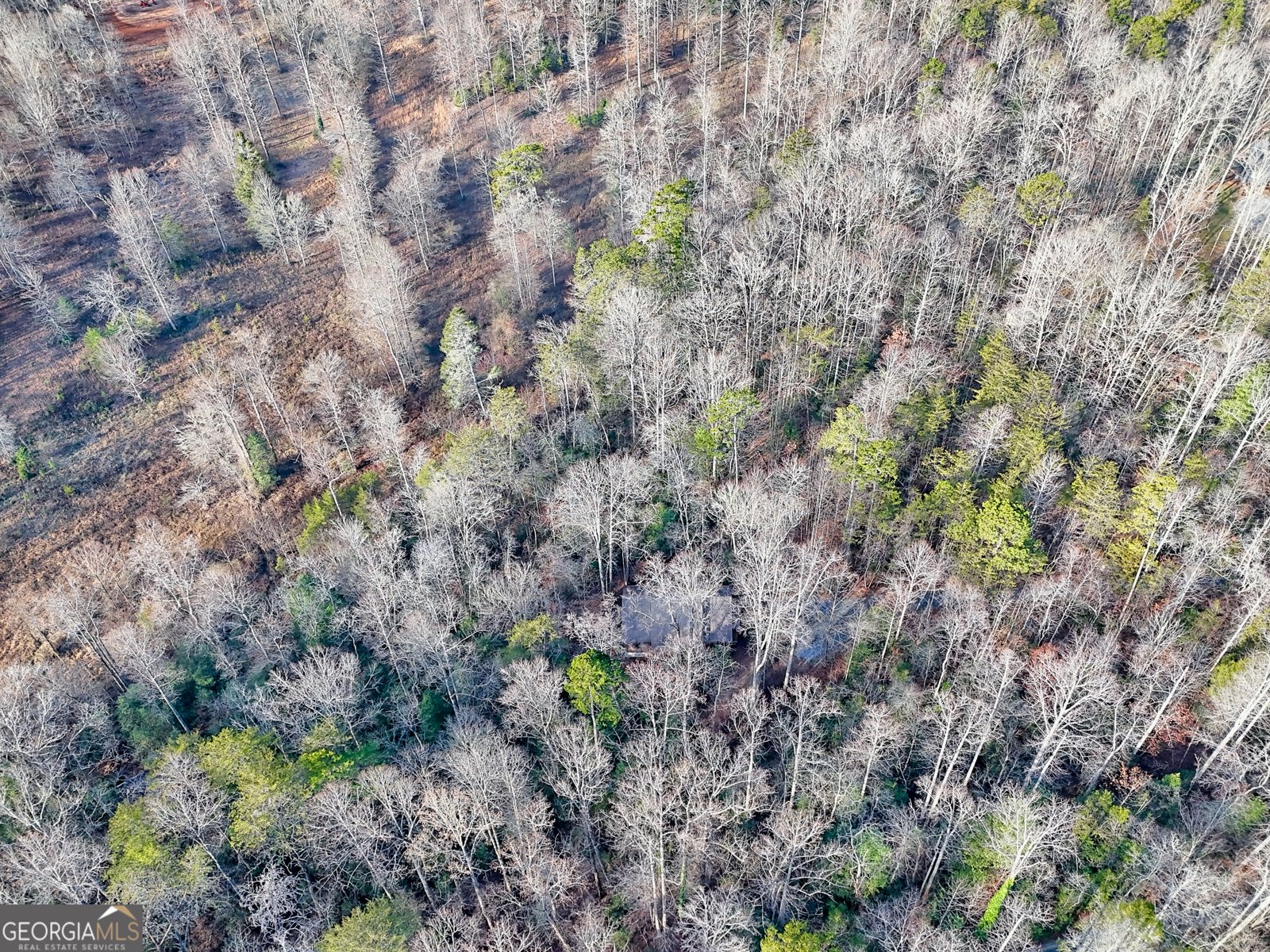 341 Brookwood Lane Clarkesville - 78