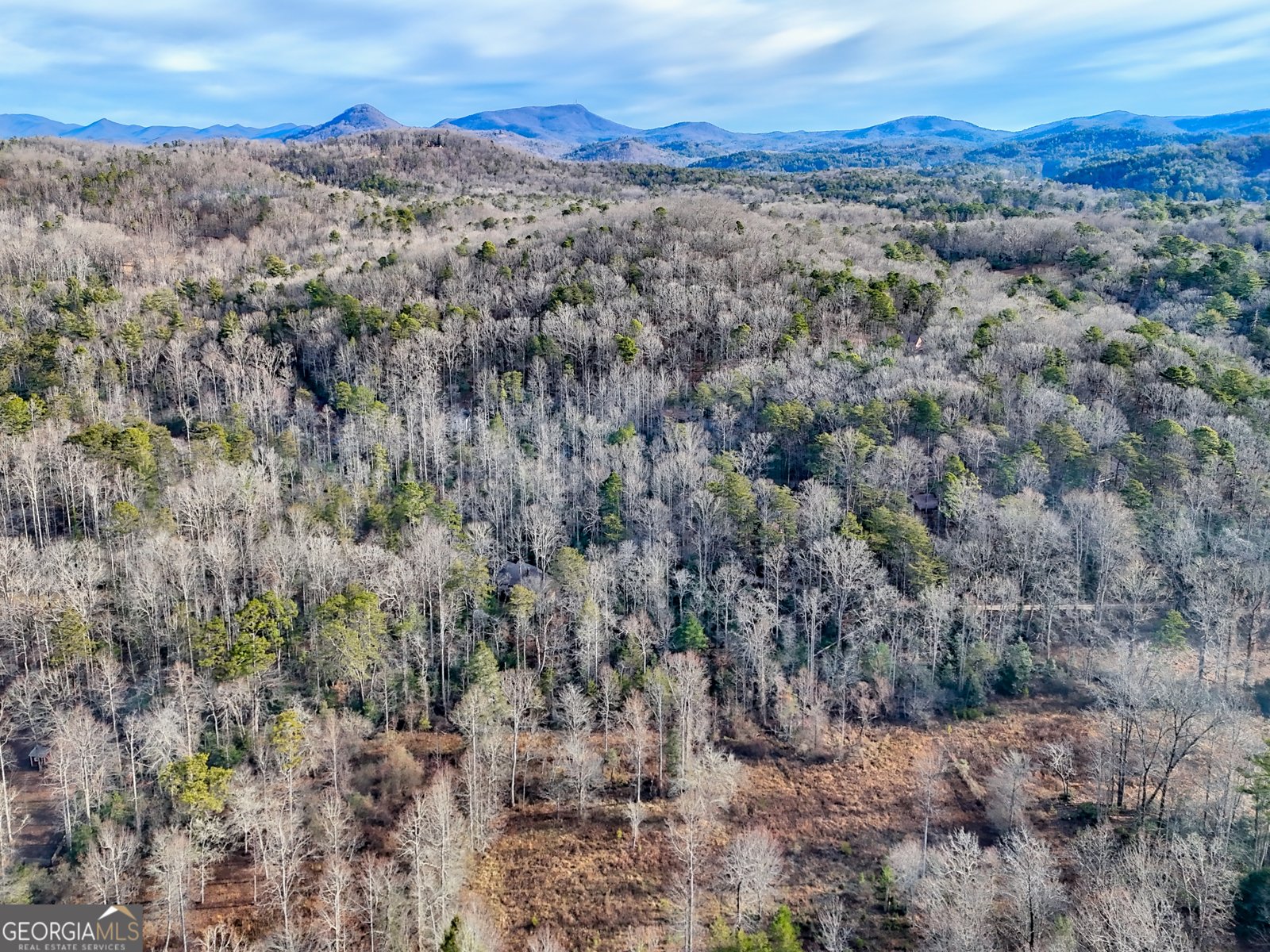 341 Brookwood Lane Clarkesville - Photo 85