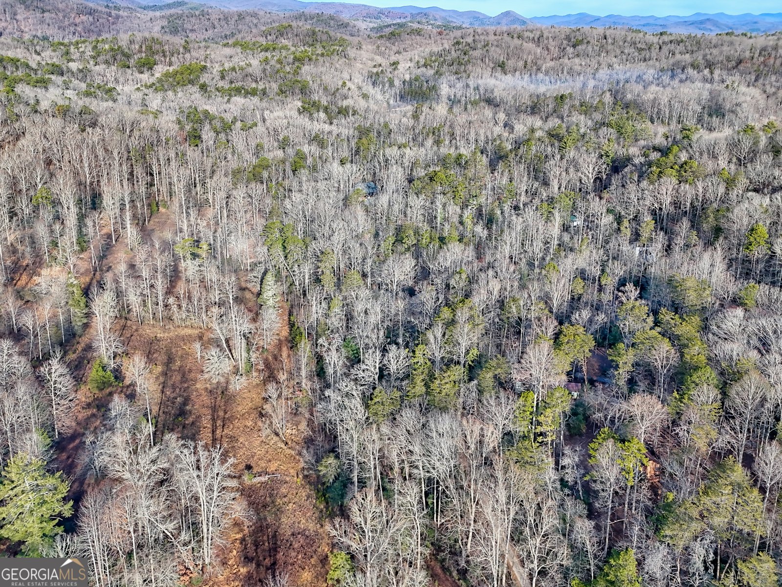 341 Brookwood Lane Clarkesville - Photo 86