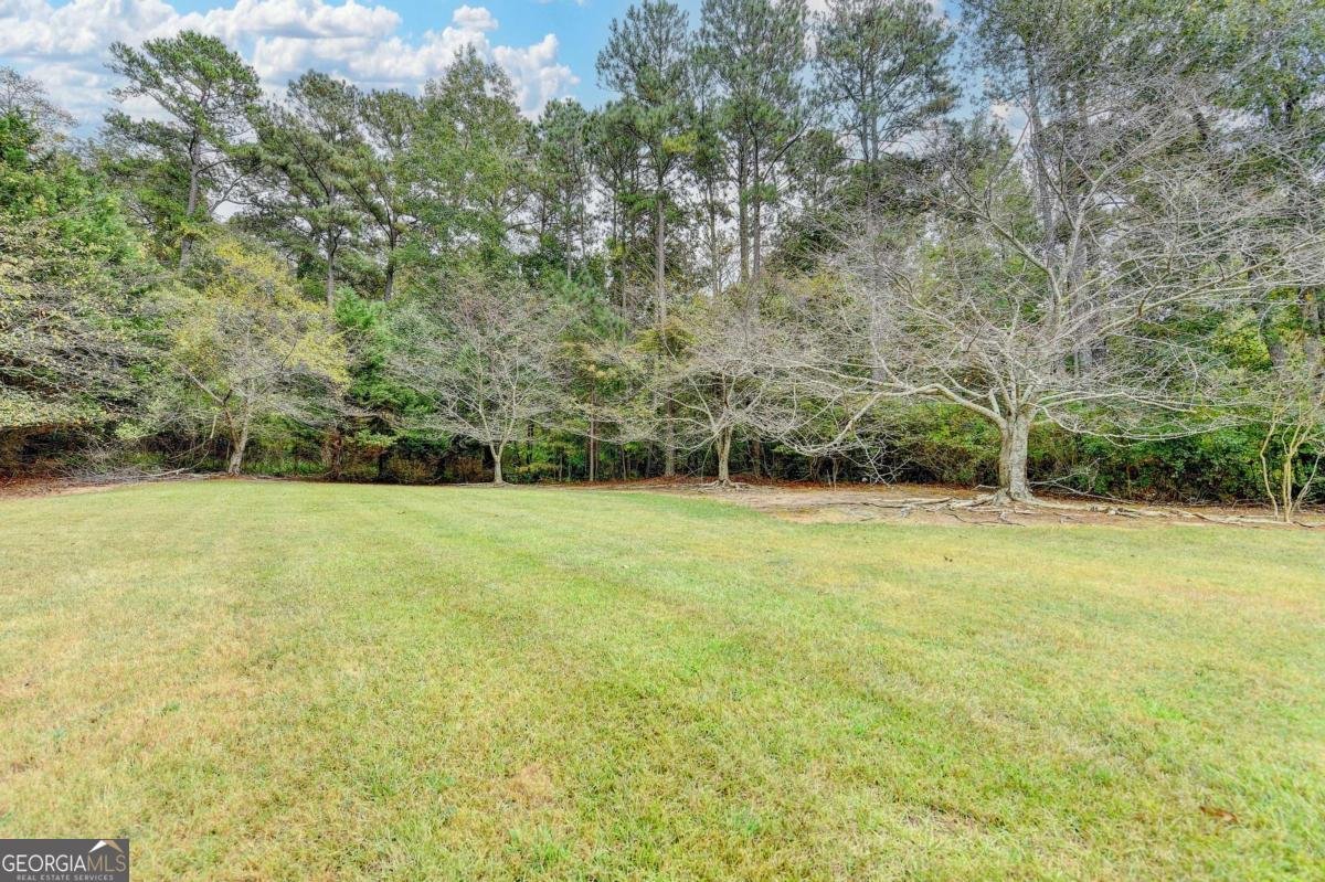 3619 Trinity Place Lithonia - Photo 64