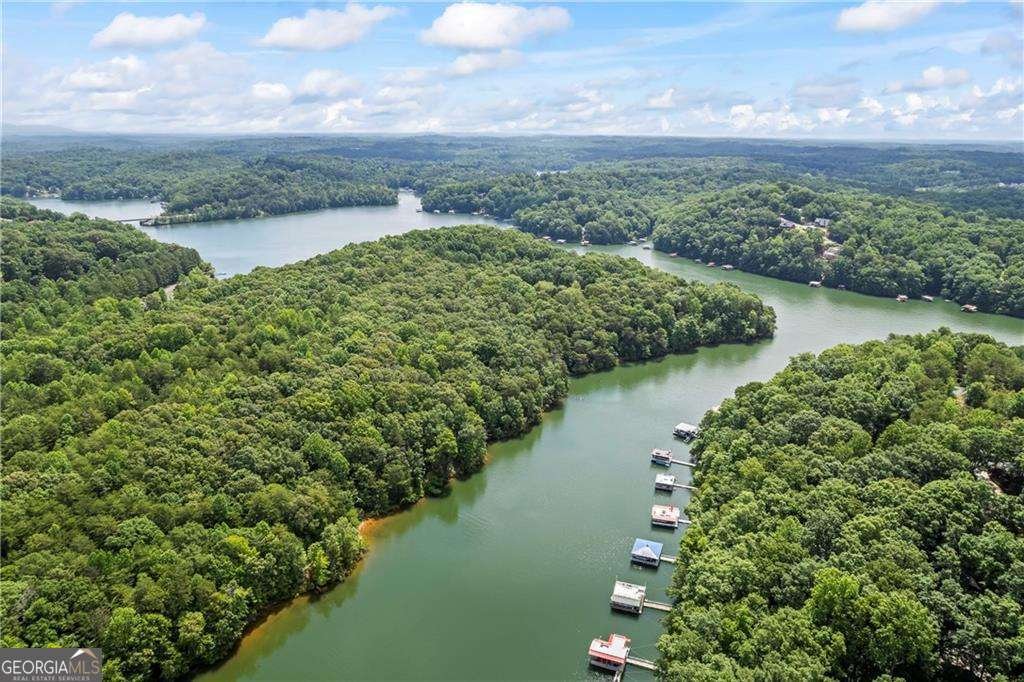 88 Toto Creek Drive Dawsonville - Photo 19