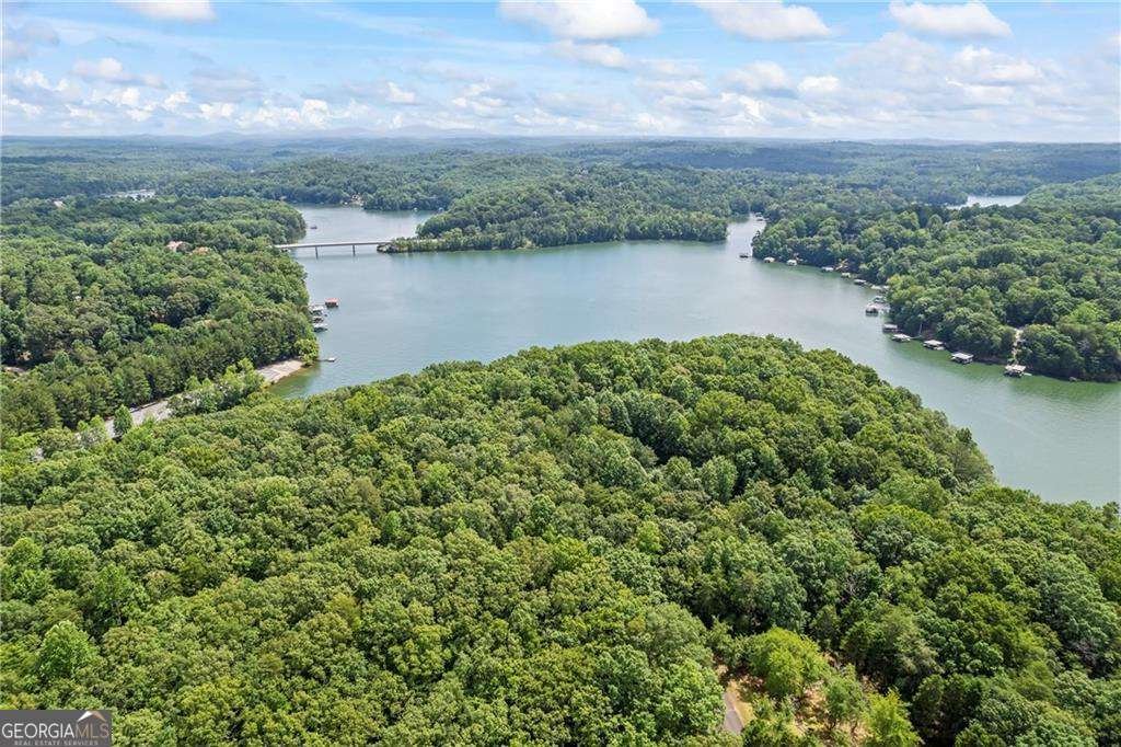 88 Toto Creek Drive Dawsonville - Photo 20