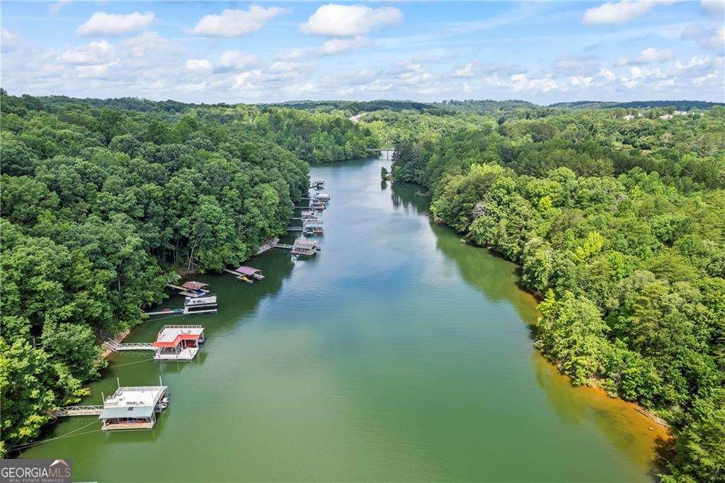 88 Toto Creek Drive Dawsonville - Photo 21