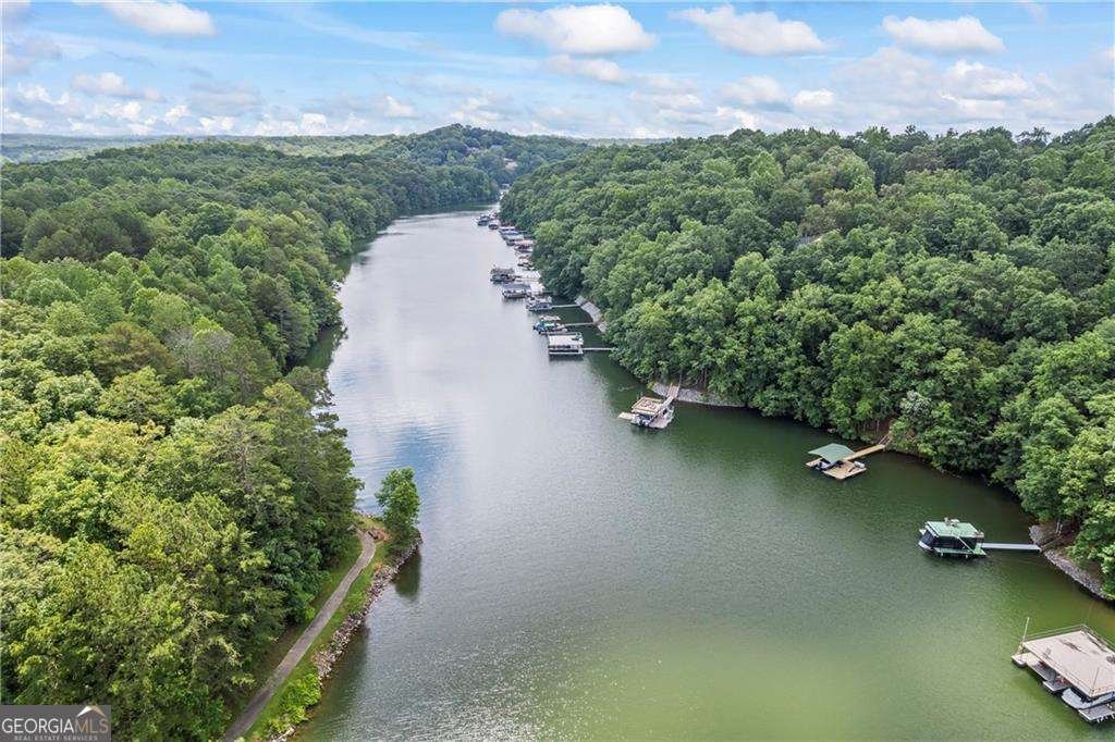 88 Toto Creek Drive Dawsonville - Photo 23