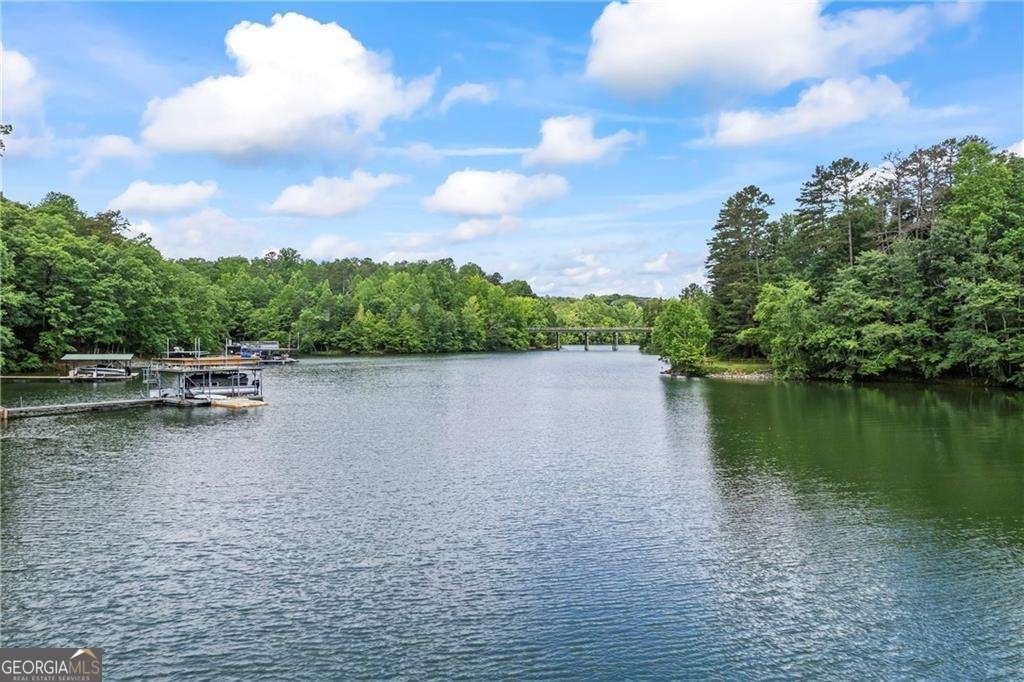 88 Toto Creek Drive Dawsonville - Photo 25