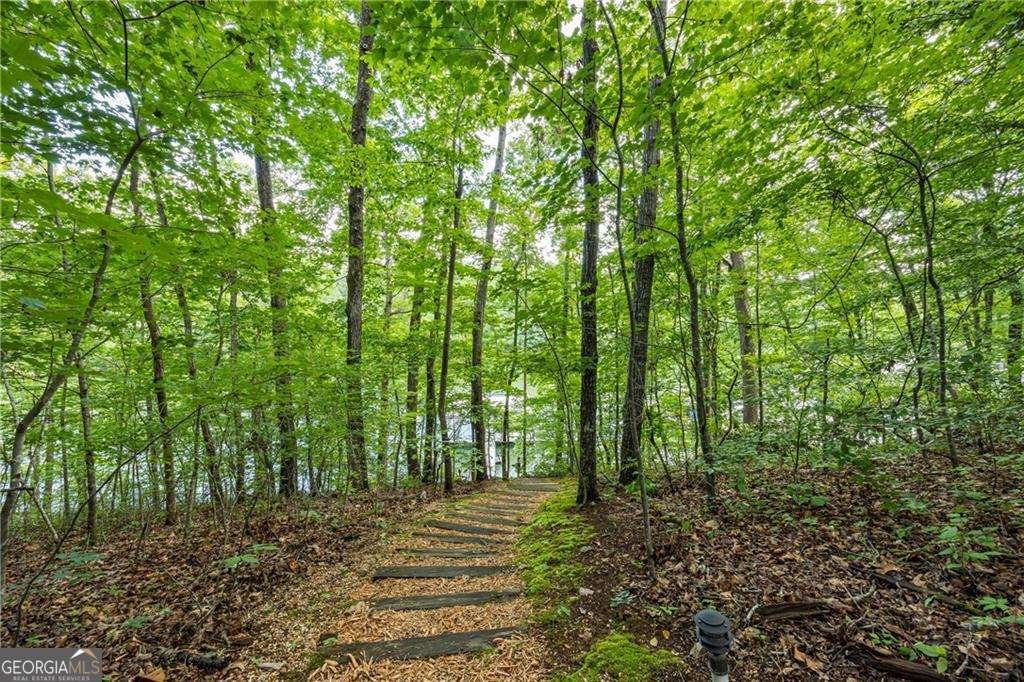 88 Toto Creek Drive Dawsonville - Photo 85