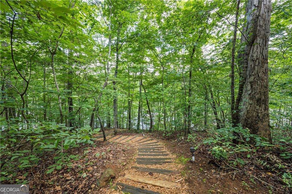 88 Toto Creek Drive Dawsonville - Photo 86