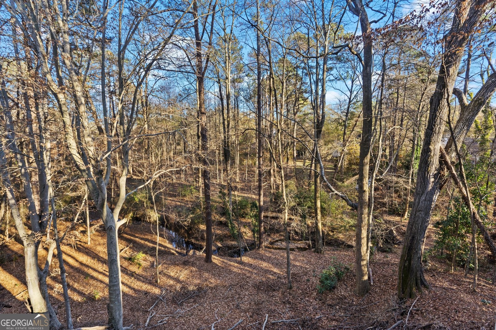 5425 Hoylake Court Johns Creek - Photo 61