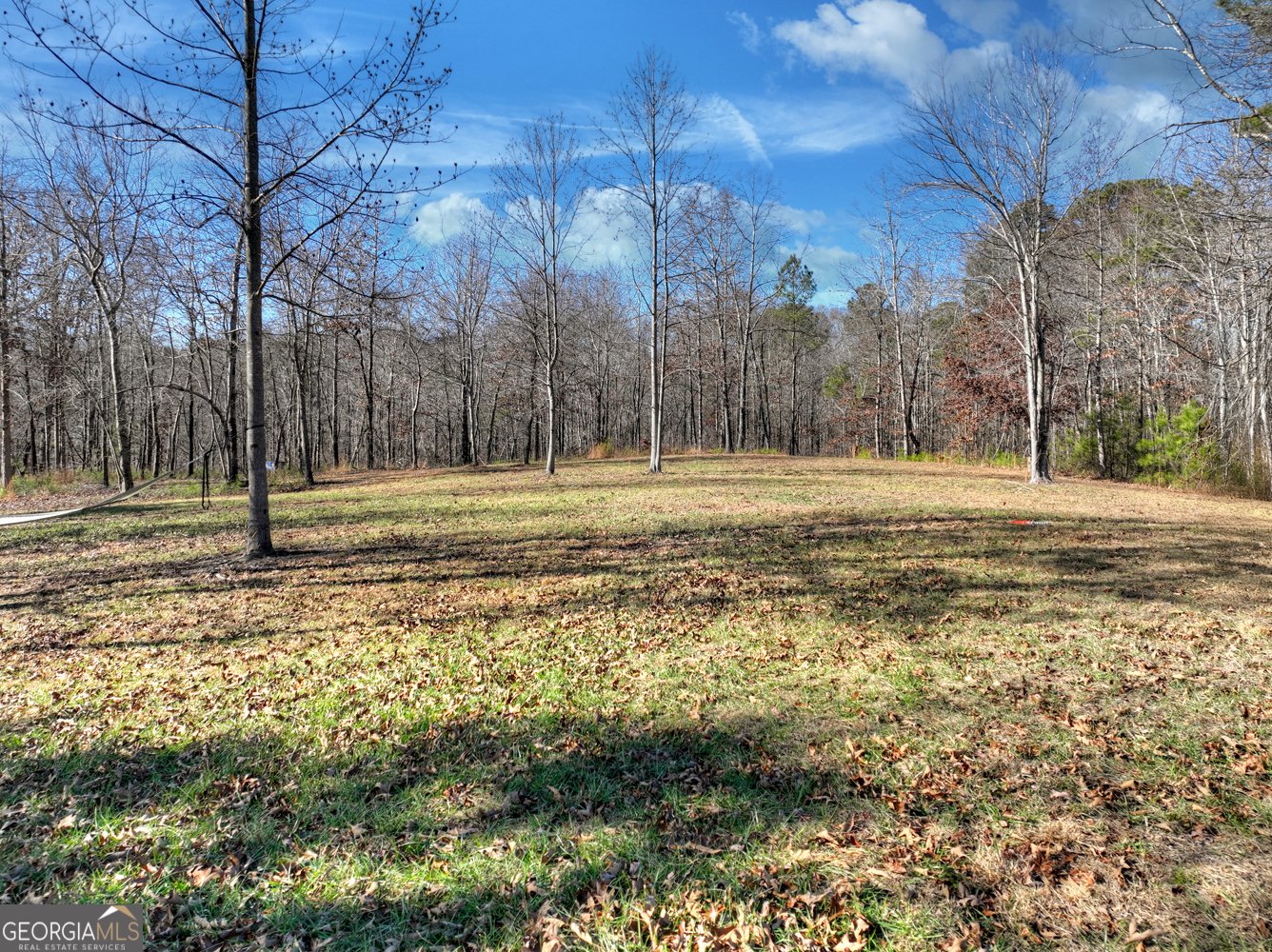 2520 Carlan Road Fairmount - 32