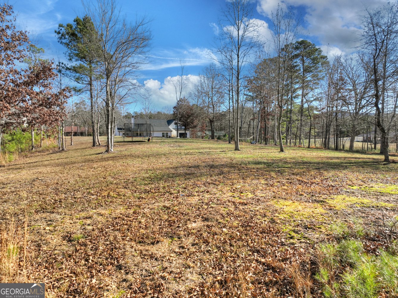 2520 Carlan Road Fairmount - 33