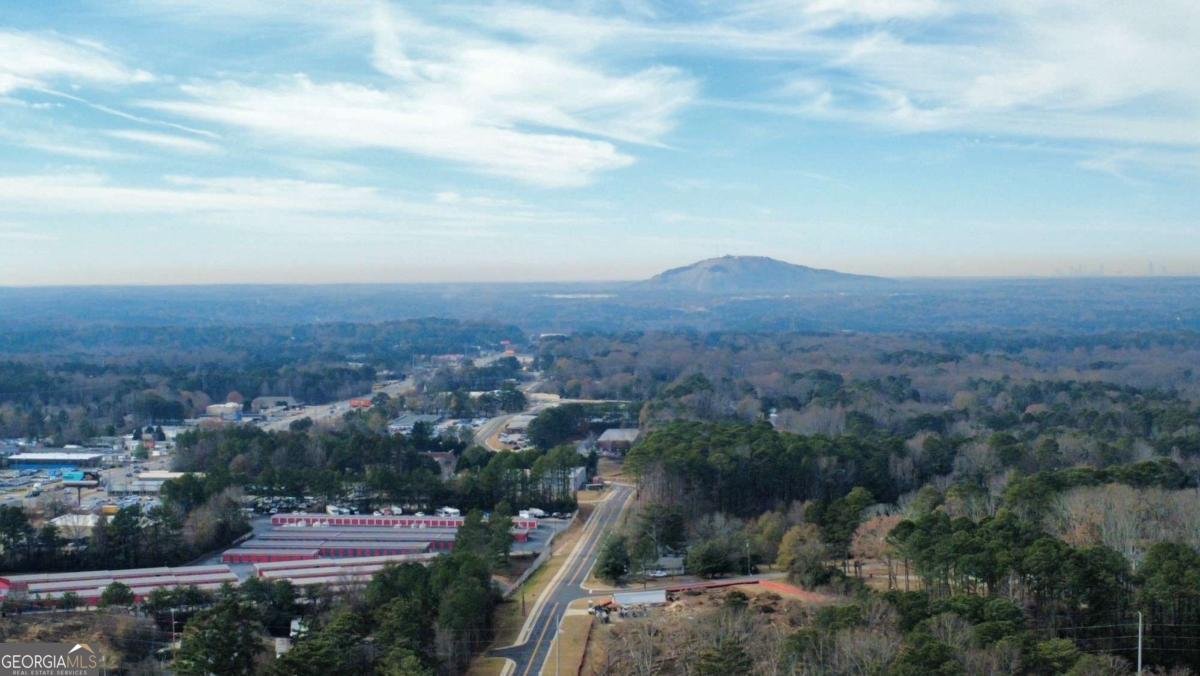 3131 WILDBERRY RUN Lane Snellville - 70