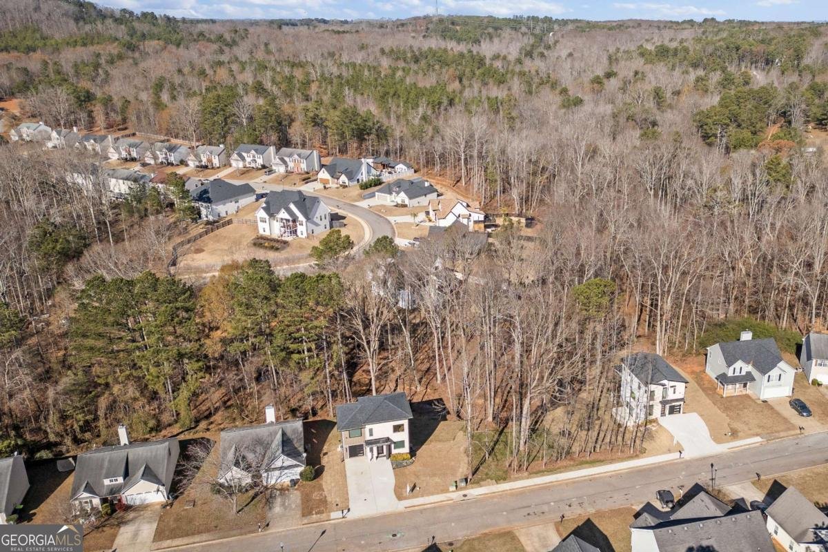 744 Crystal Bay Road Villa Rica - 62