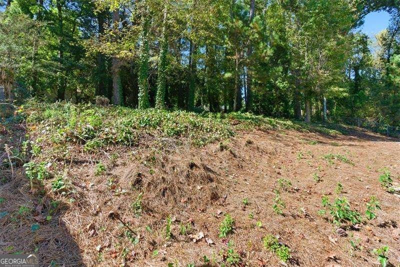 2343 Bonnybrook Way Atlanta - 43