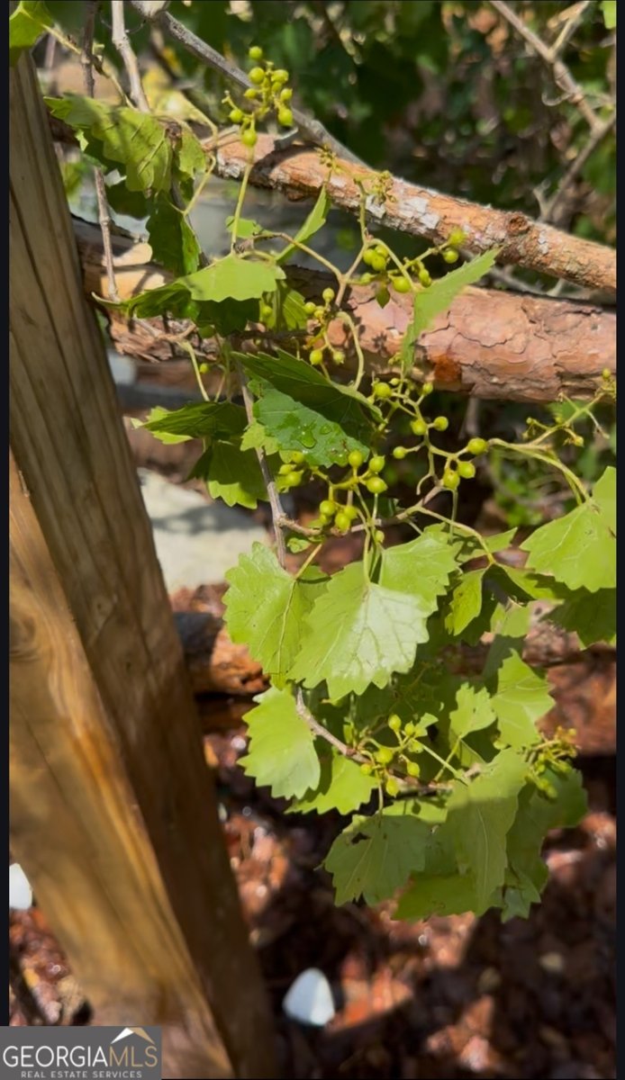 21 Fox Path Saint Marys - 19