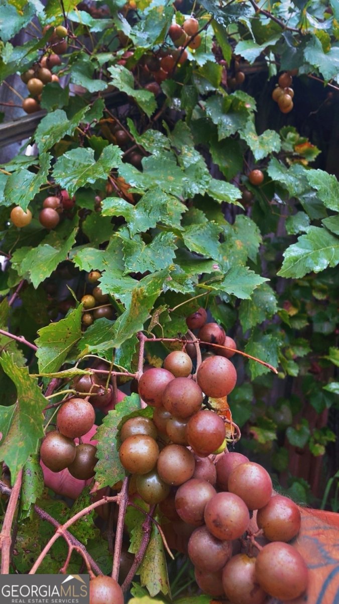 21 Fox Path Saint Marys - 20