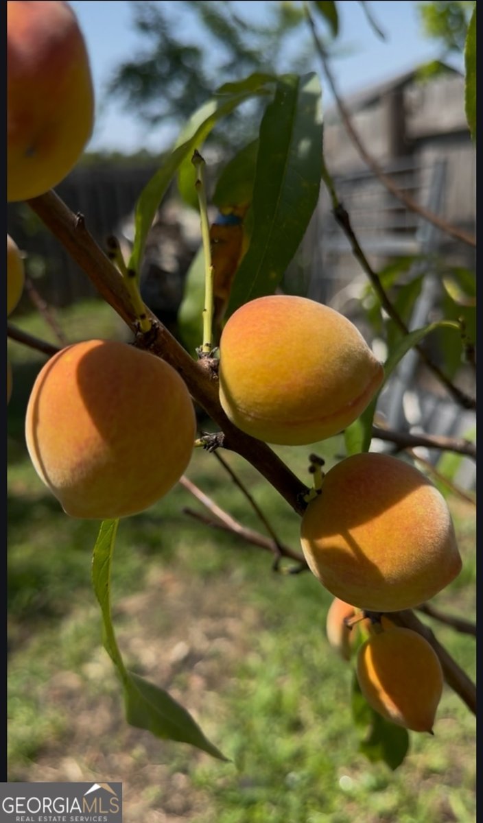 21 Fox Path Saint Marys - 22