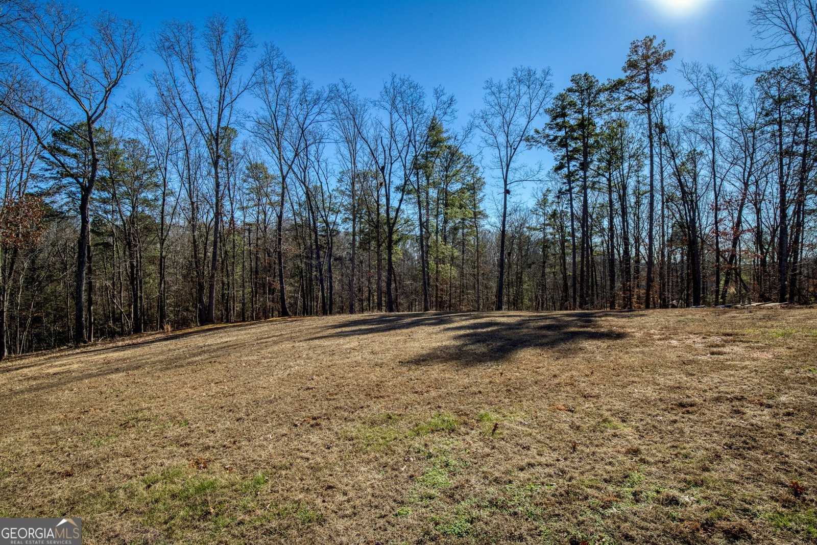 4041 Kelly Bridge Road Dawsonville - Photo 67