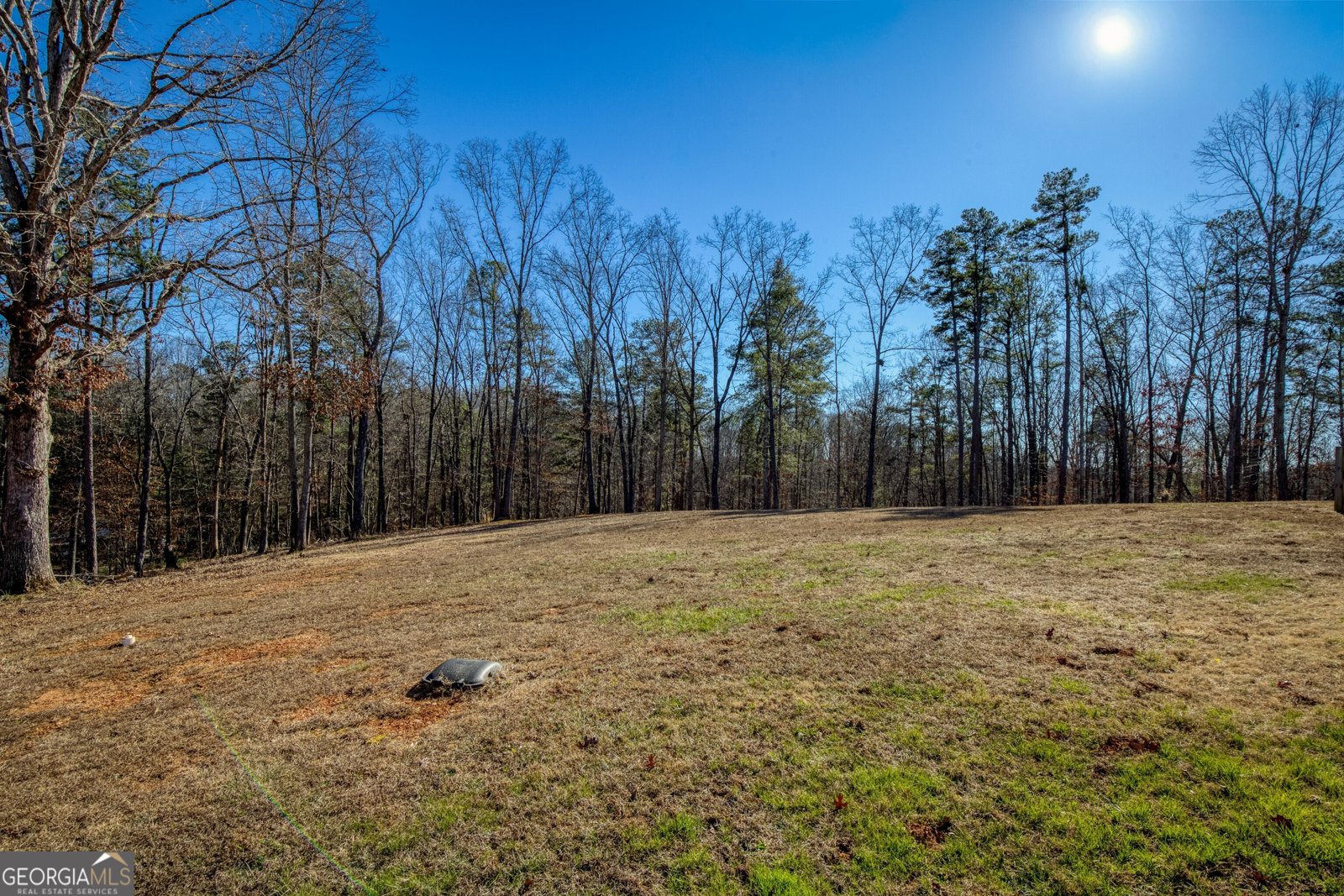 4041 Kelly Bridge Road Dawsonville - Photo 69