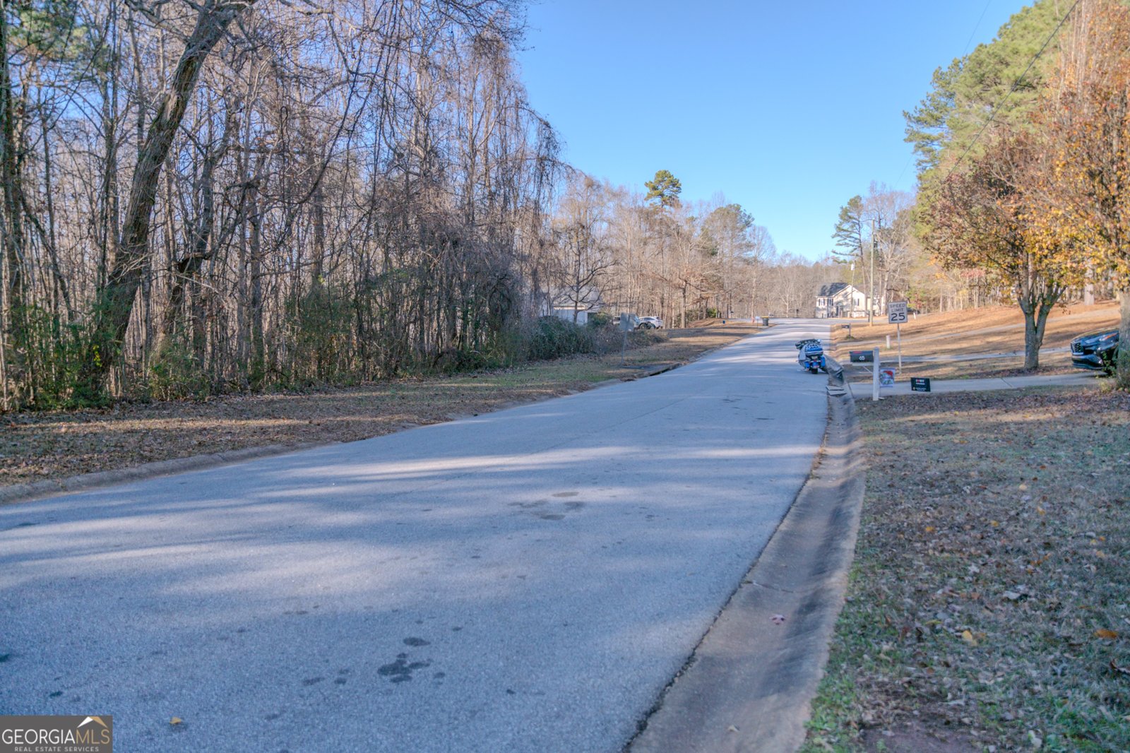 55 Corn Row Court Newnan - 3