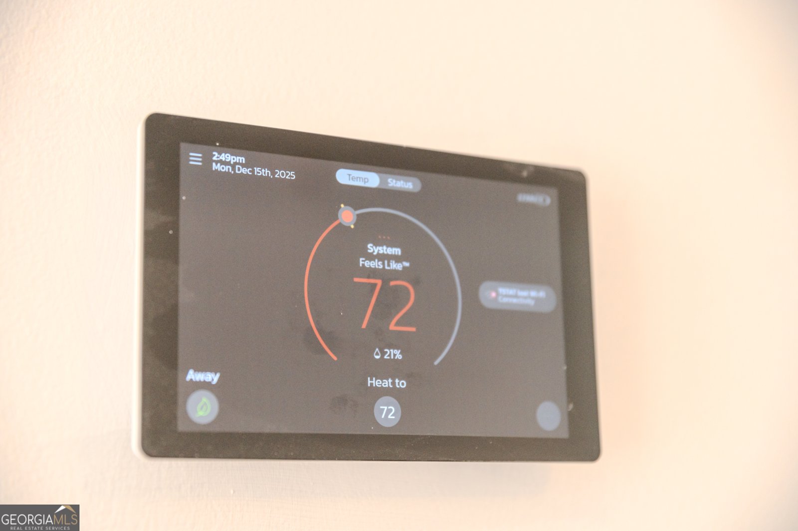 55 Corn Row Court Newnan - 58