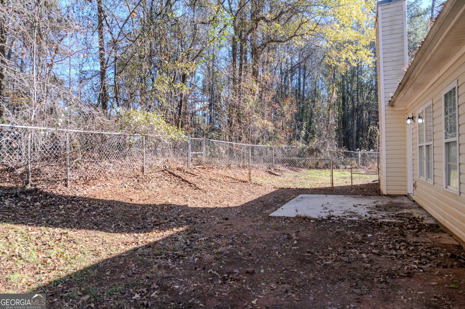 55 Corn Row Court Newnan - 60