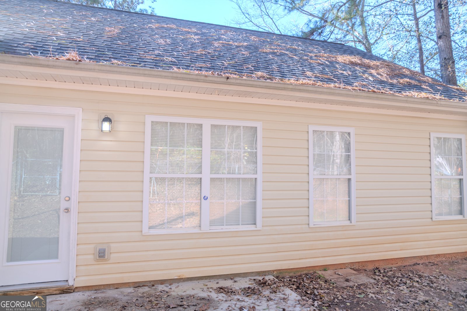 55 Corn Row Court Newnan - 65