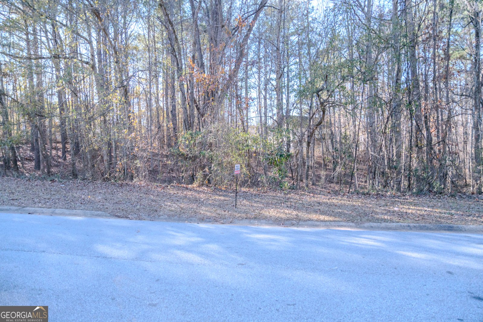 55 Corn Row Court Newnan - 7