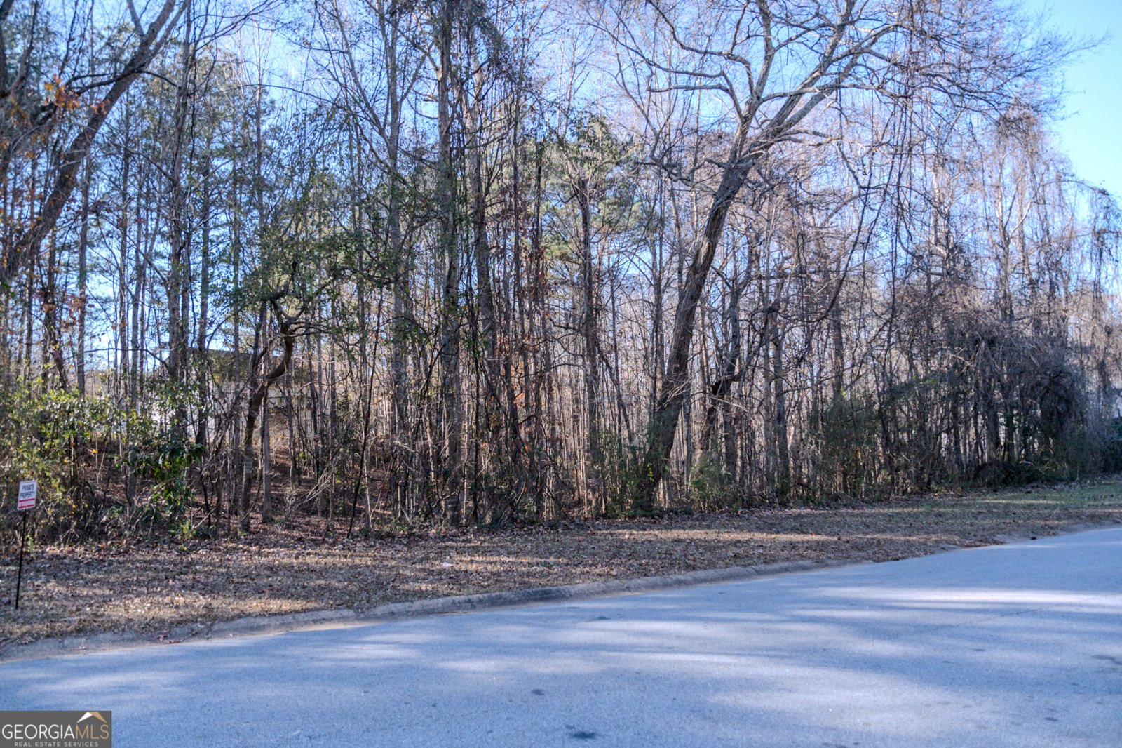 55 Corn Row Court Newnan - 8