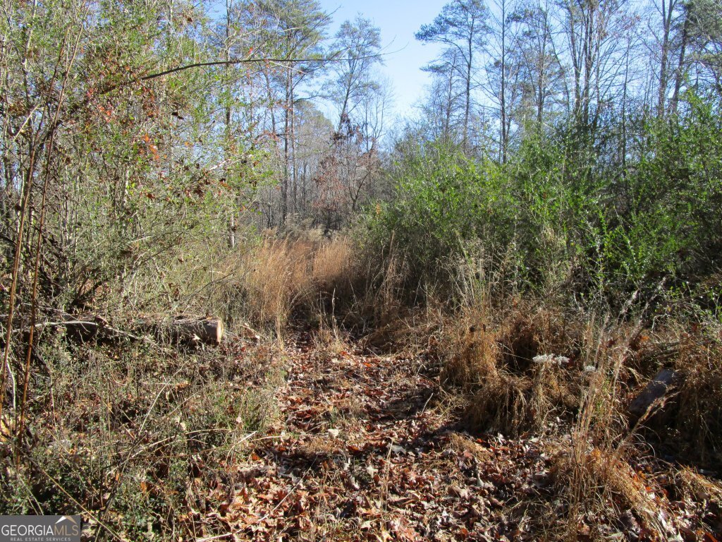 5074 Highway 255 Cleveland - Photo 50