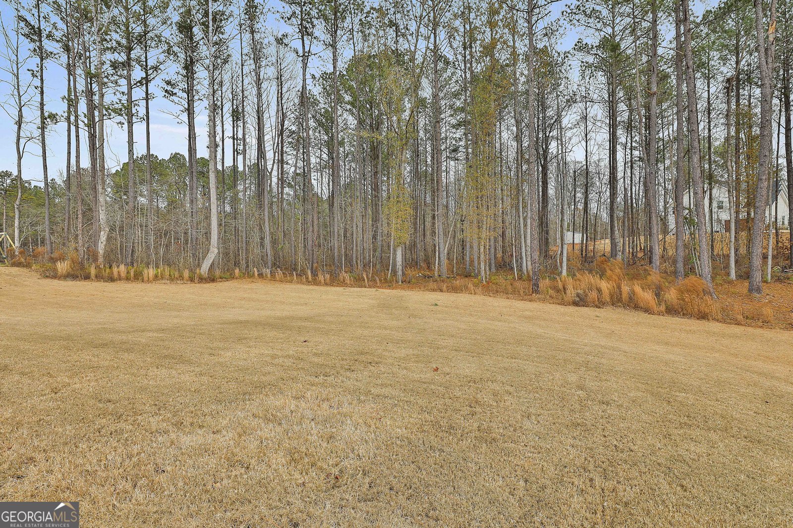 86 Sagebrook Lane Newnan - Photo 47