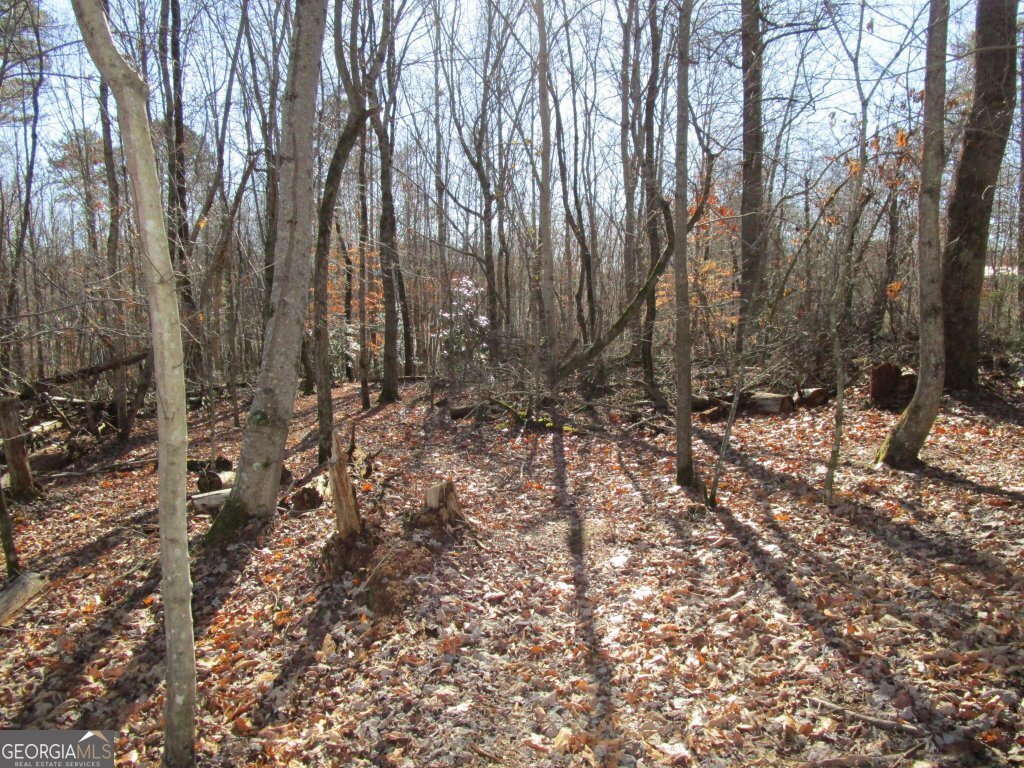 5074 Highway 255 Cleveland - 45