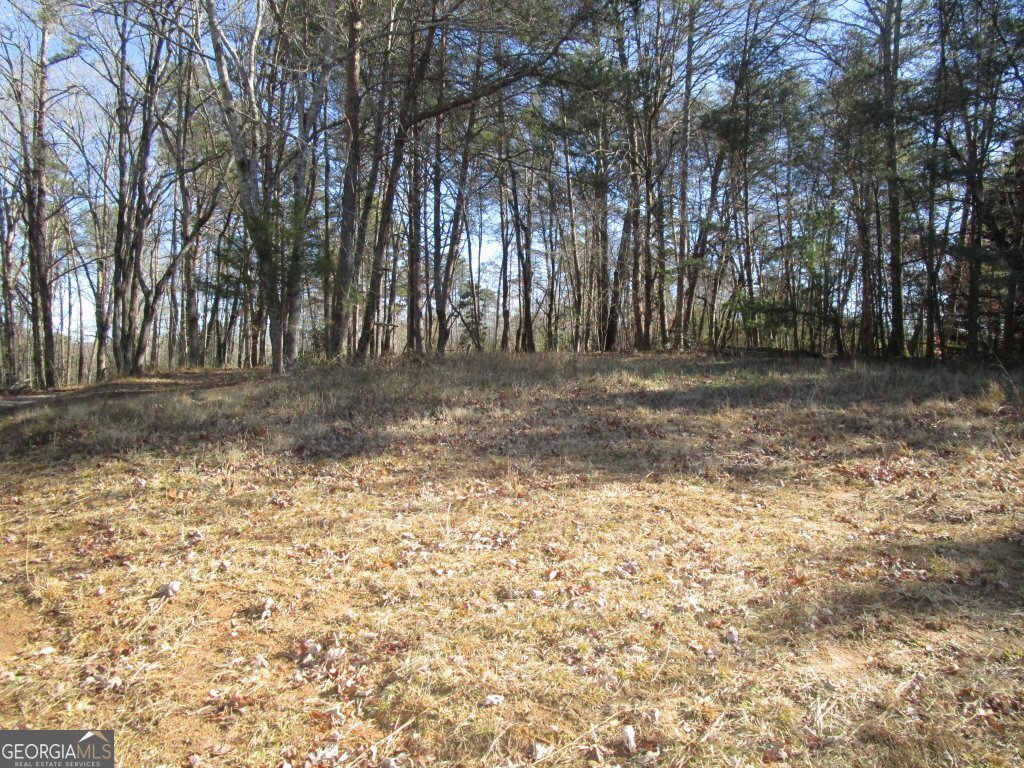 5074 Highway 255 Cleveland - Photo 52