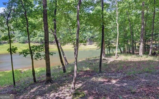 94 Westwood Circle Hartwell - Photo 50