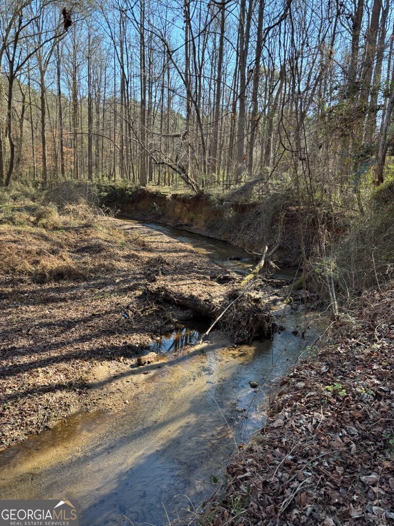 265 Griffin Road Martin - Photo 20