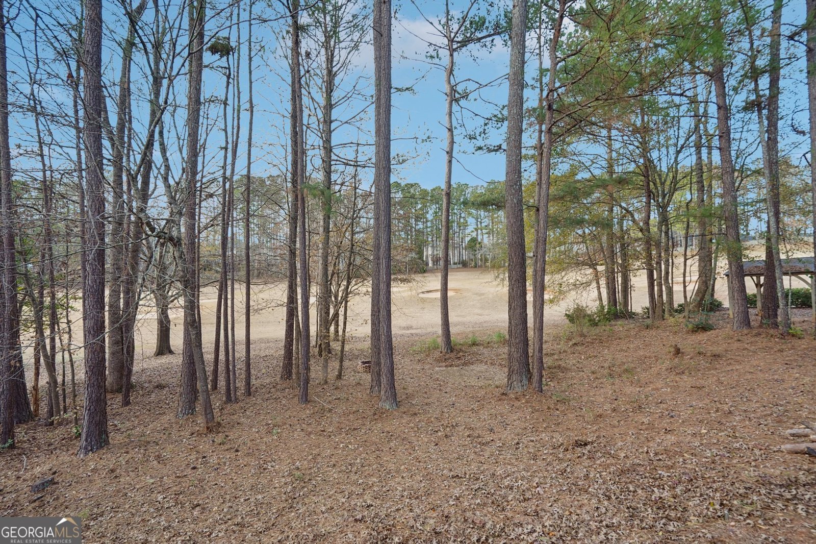 160 Greenview Drive Newnan - 31