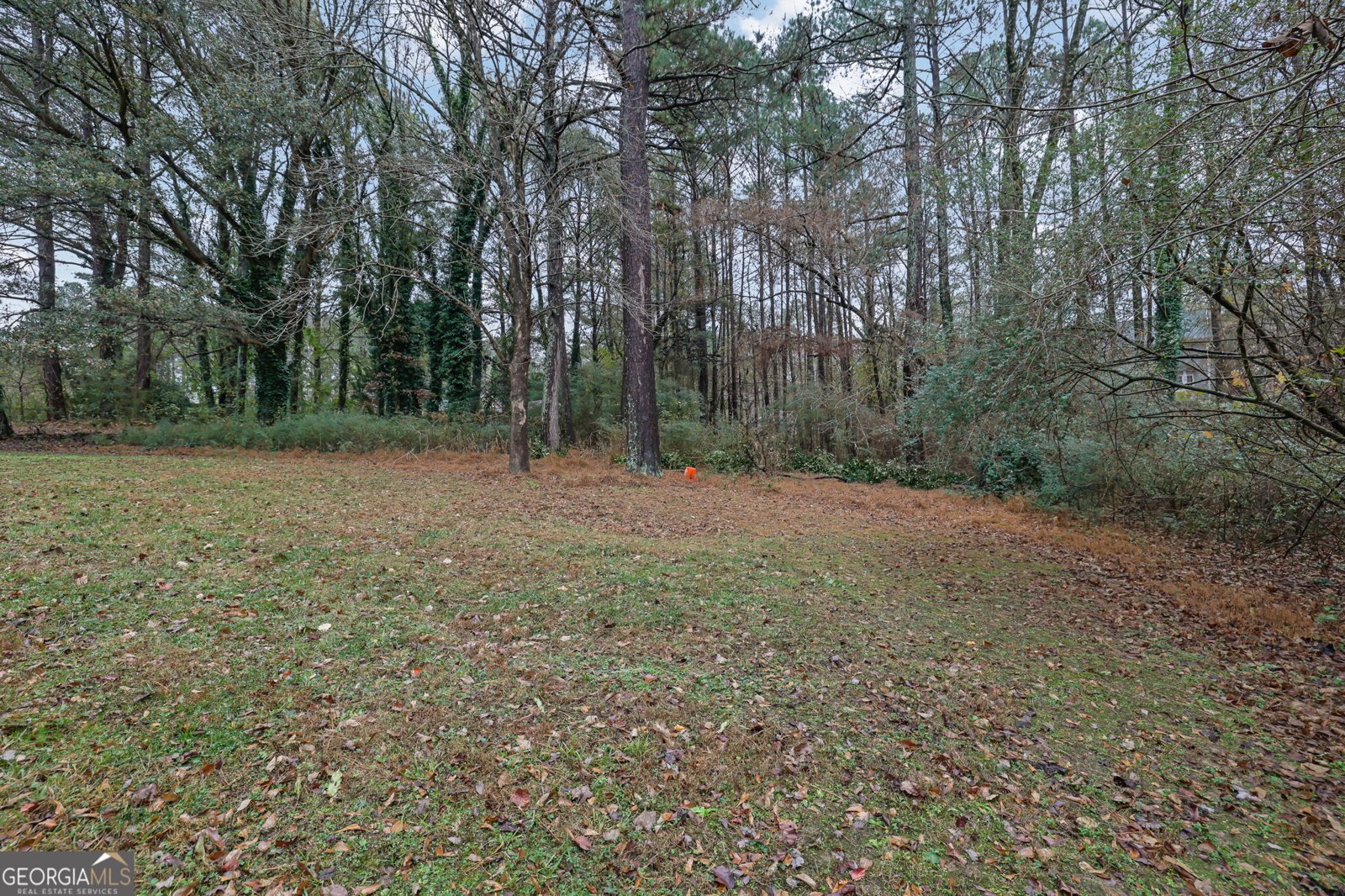 4436 Old Country Way Snellville - 36