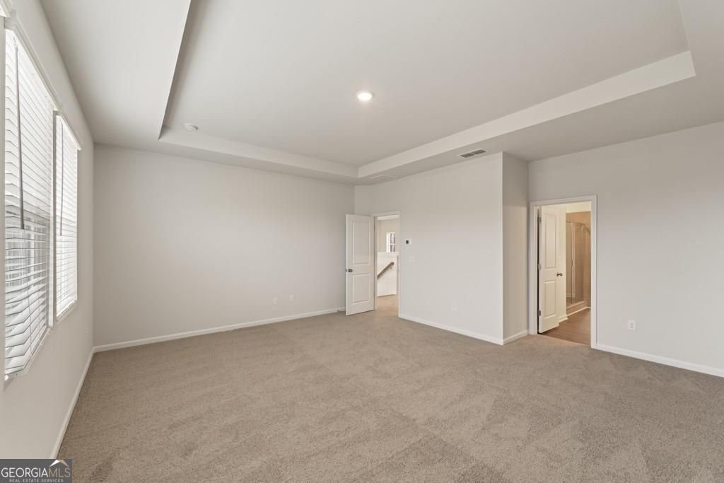 501 LUPIN Circle Mcdonough - 21