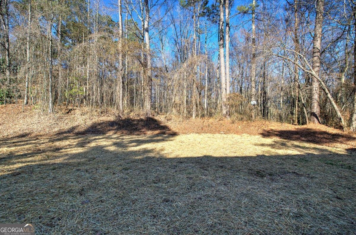 143 Delane Drive Dallas - 37