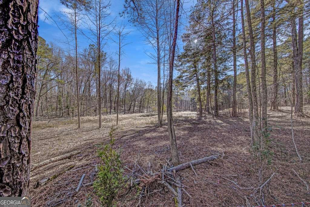 3350 Villa Lane Douglasville - 23