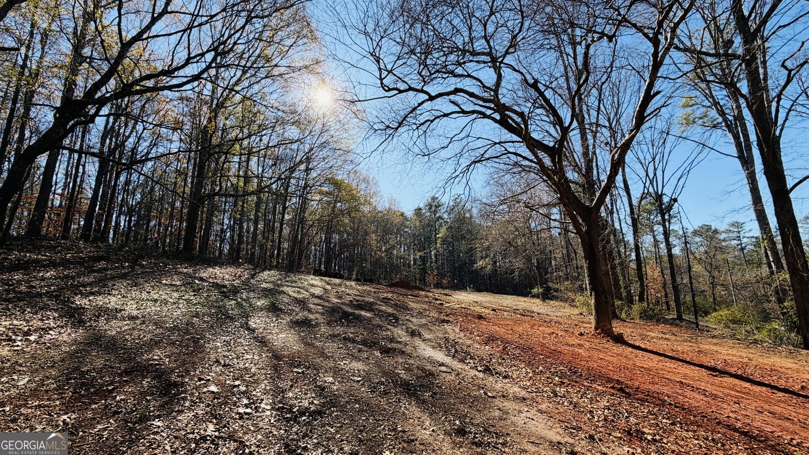 8060 Nevo Road Hiram - 12