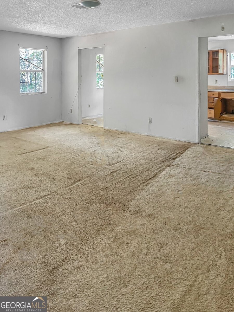 8447 Airline Road Pavo - Photo 8