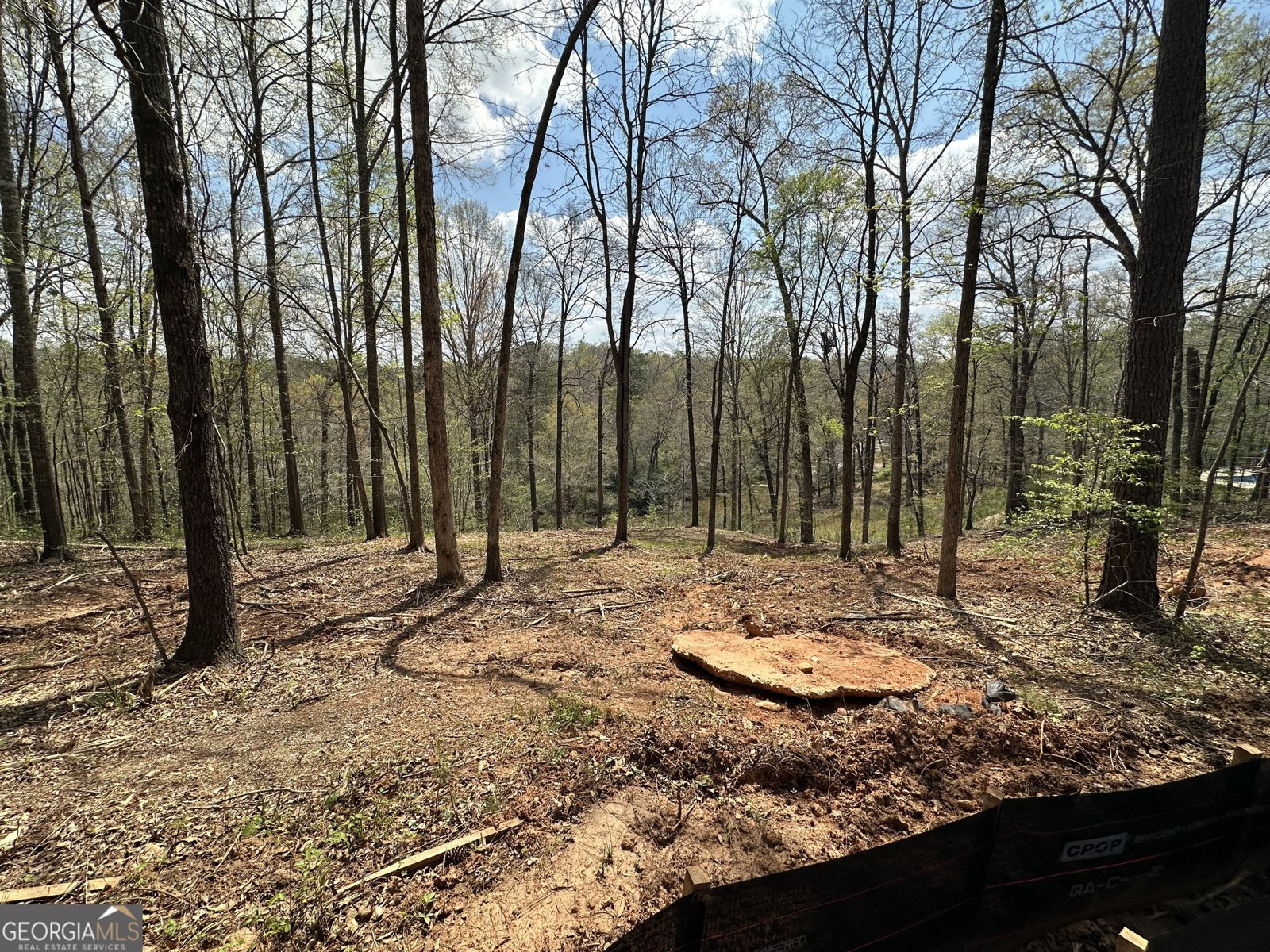 607 Forest Pointe Drive Forsyth - Photo 35